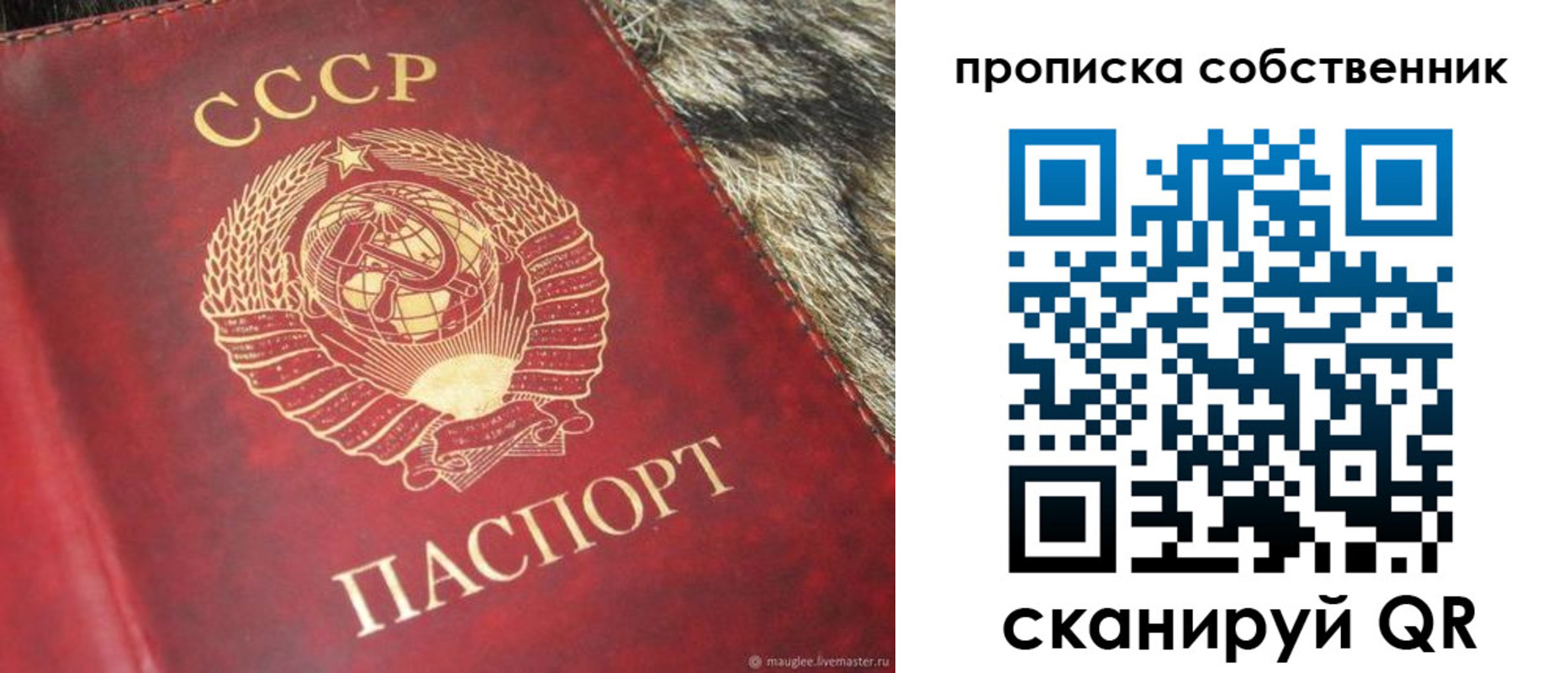 прописка в квартире в Светлом